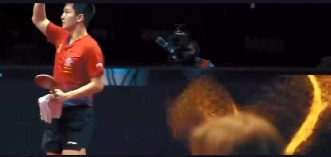 樊振东为何选择一年“停赛”，引发国际乒坛热议？他能否在2028年洛杉矶奥运会上回