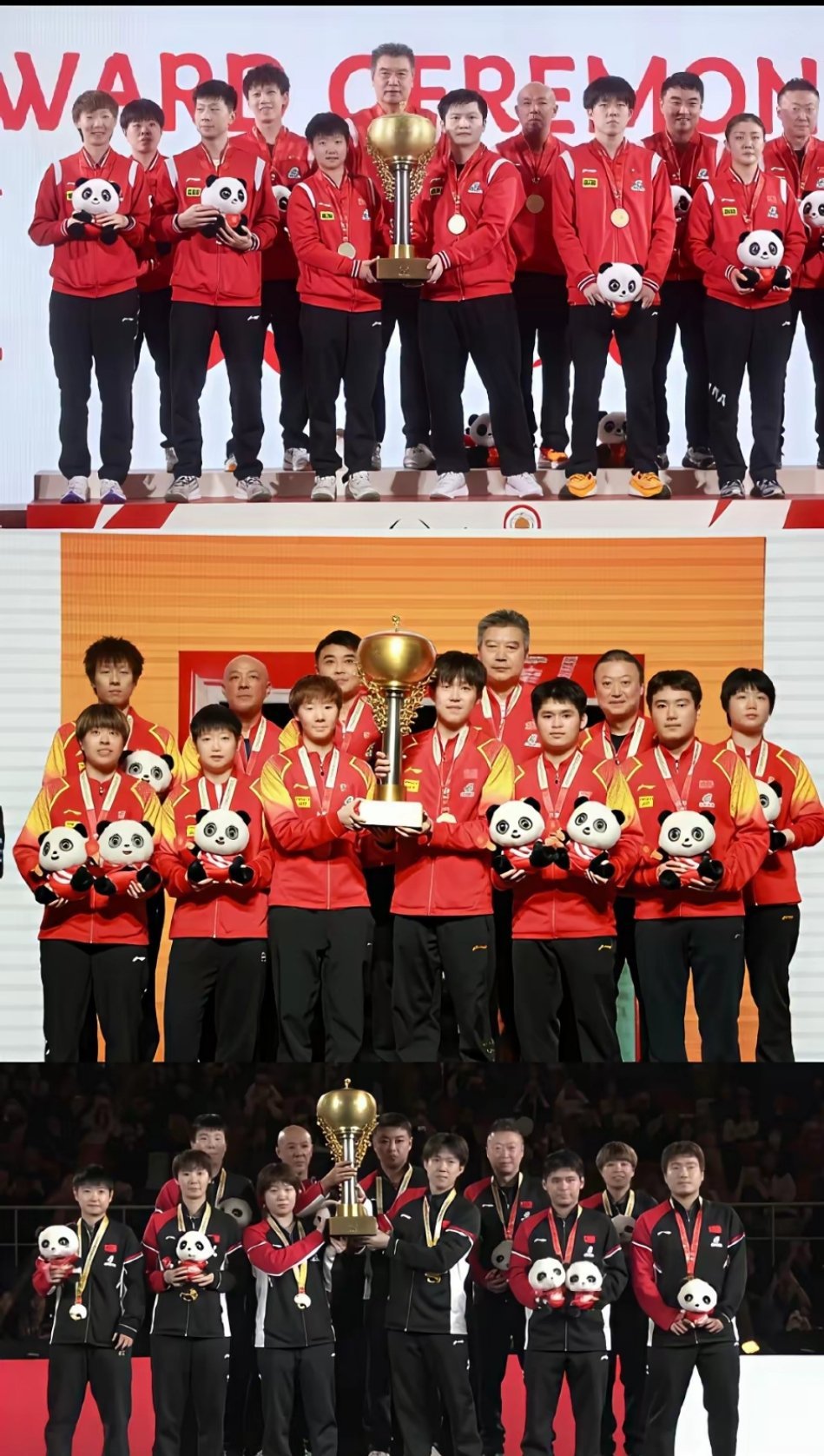 三年合照的对比，大头真是，一年比一年成熟，一年比一年帅气呀，从边缘慢慢地走到了中