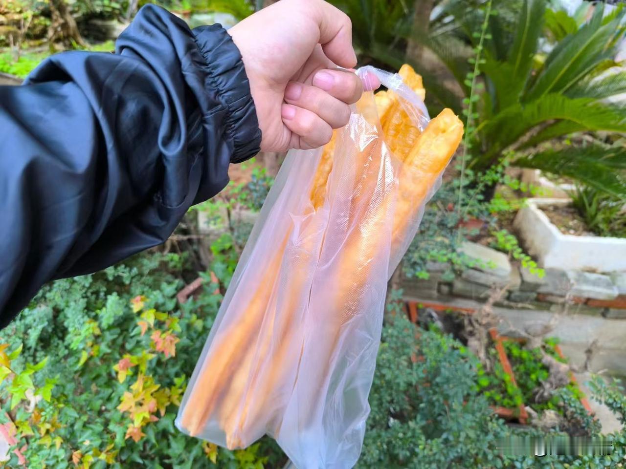 江西庐山游记：1、出发：湖北省浠水县早餐，吃了6根50厘米长的油条，喝了两杯豆浆