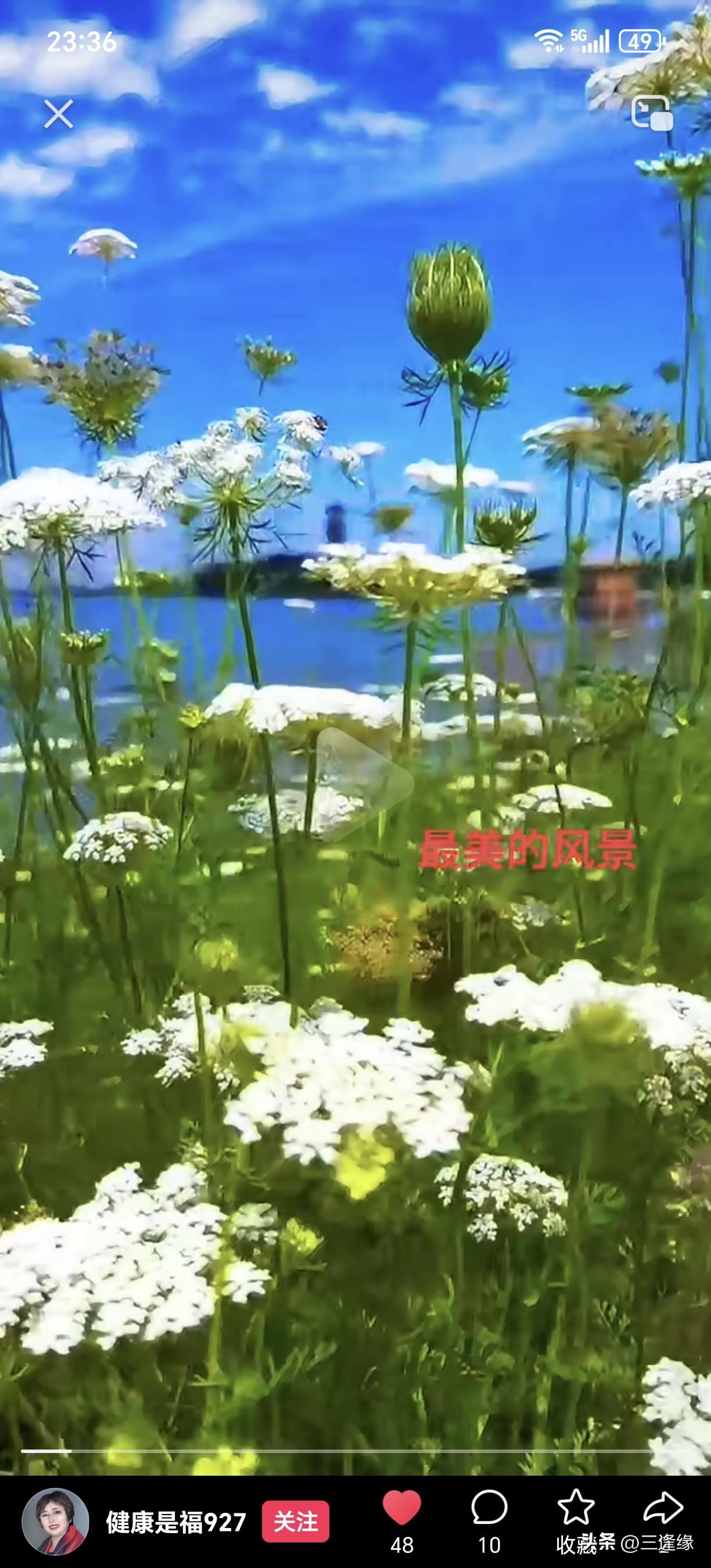 我的原创对联：上联：风裁柳线缝春袂，下联：月浣花笺写夜诗。🌸意境之