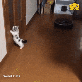 家里买扫地机器人的实际作用