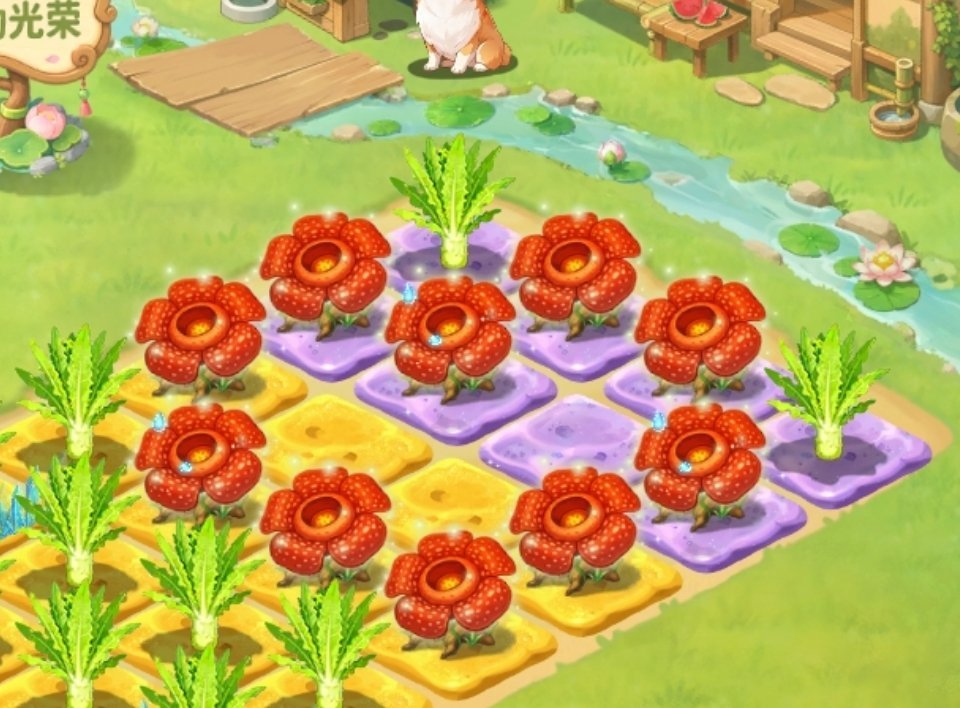 家人们，菜熟了