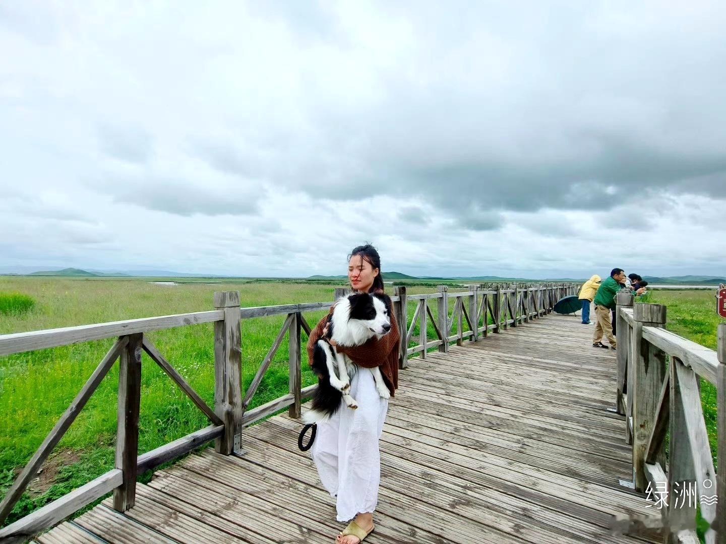 若尔盖黄河九曲第一湾｜盛夏避暑天花板这个夏天，全国热浪翻涌而若尔盖黄河九曲第