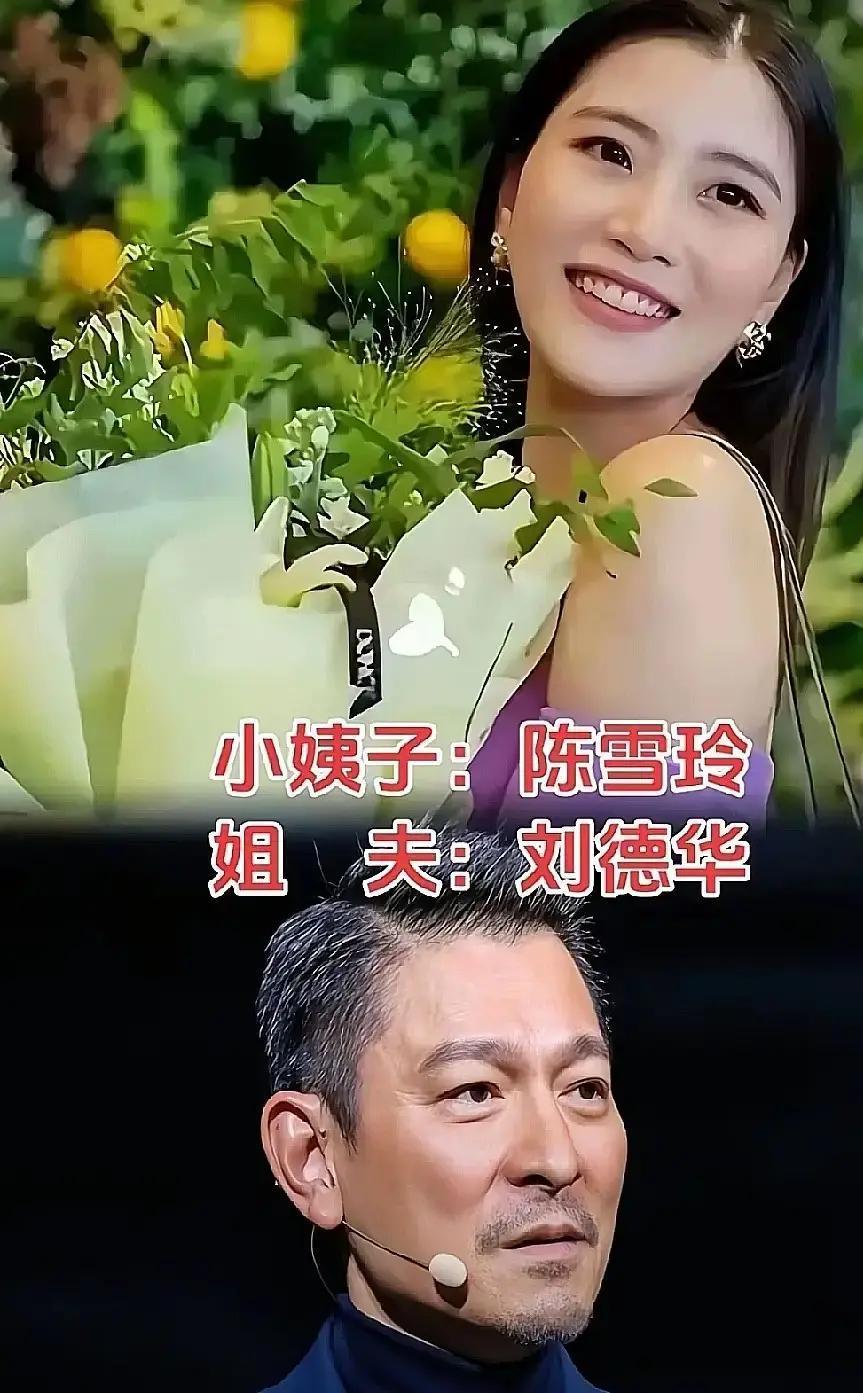 别再猜豪门狗血剧了。明星家族里，最稳的利益枢纽，是小姨子。陆毅给鲍蕾、鲍莉