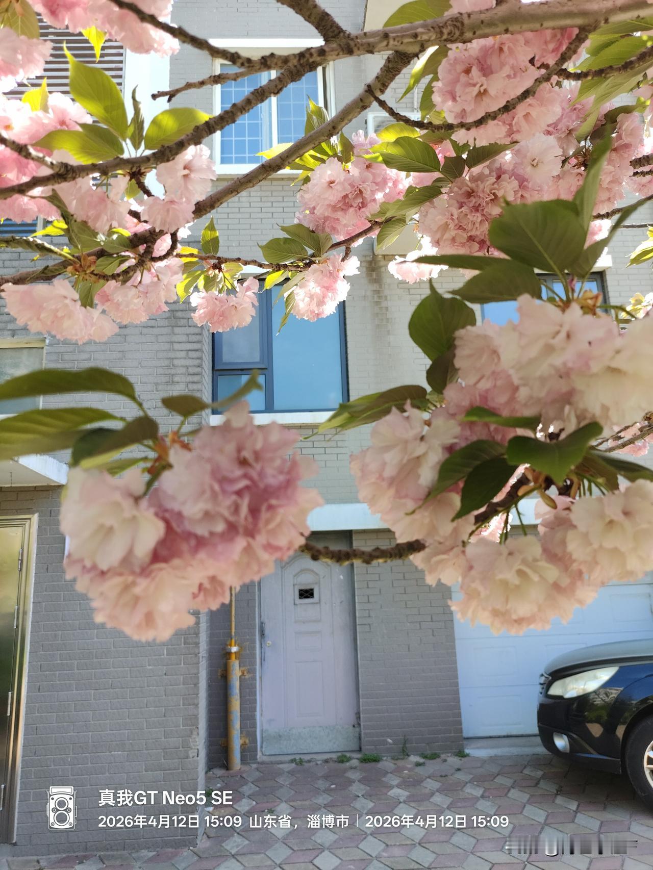 你领免费鸡蛋吗？我在小公园遇到了一群老太太，他们叽叽喳喳的在谈论如何领免费鸡