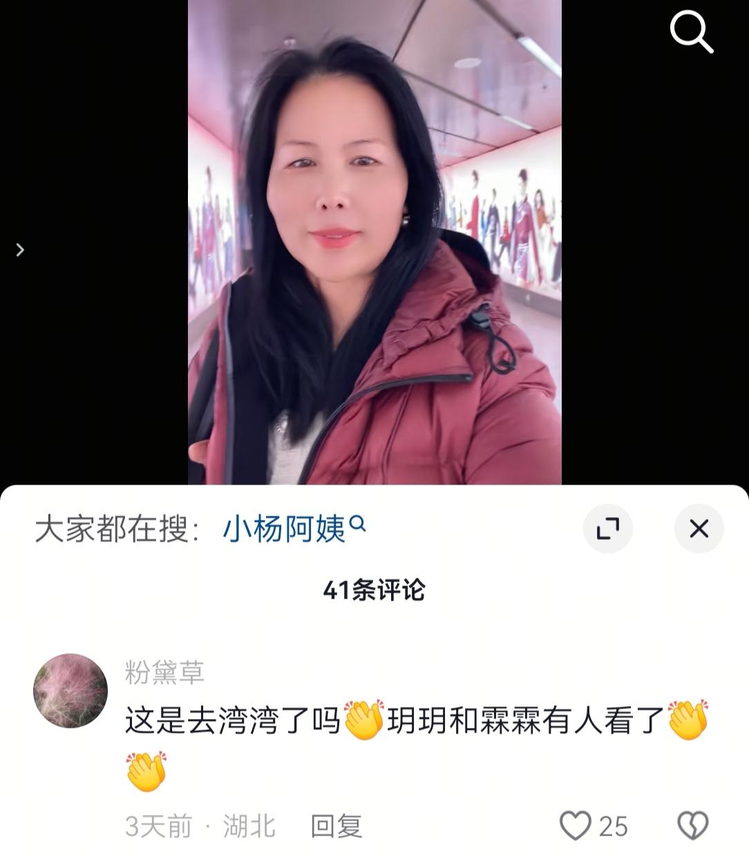 小杨阿姨到底能不能回湾湾了？近期小杨阿姨一直滞留在老家被很多网友质疑是不是被老