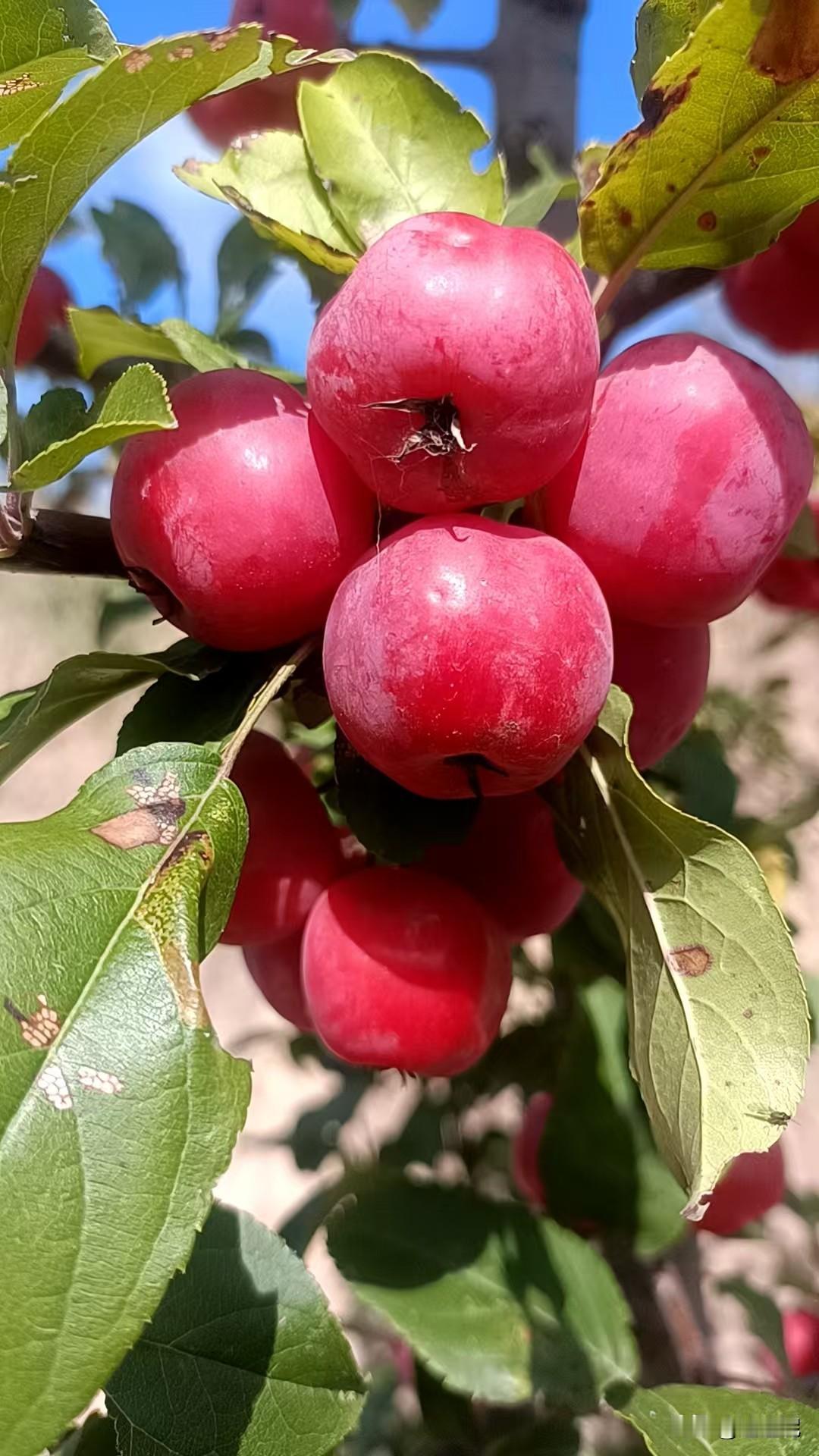 微笑面对人生吧！不管是好是坏，总要好好活着！就像我一样！刚知道自己得了乳腺