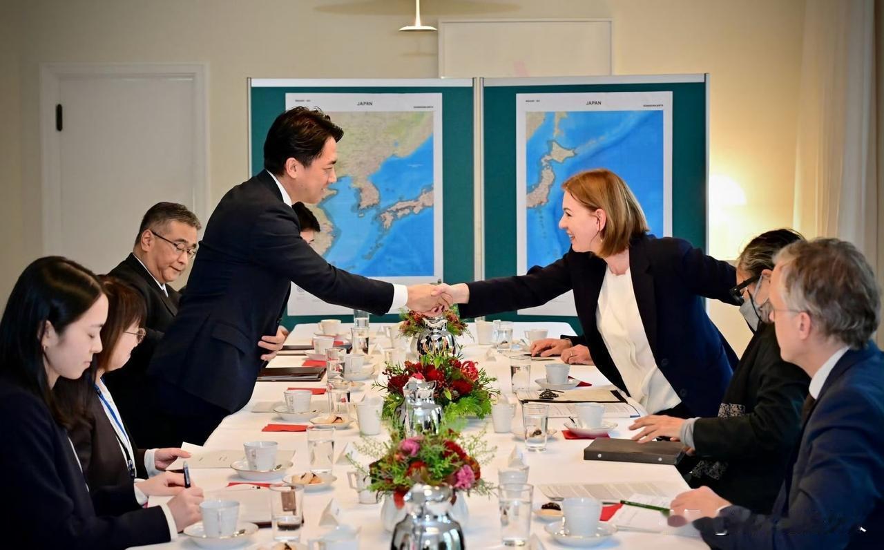 呵呵！小泉进次郎向德国大使汇报工作了！他手指地图说:就是在这个地方日本飞机被