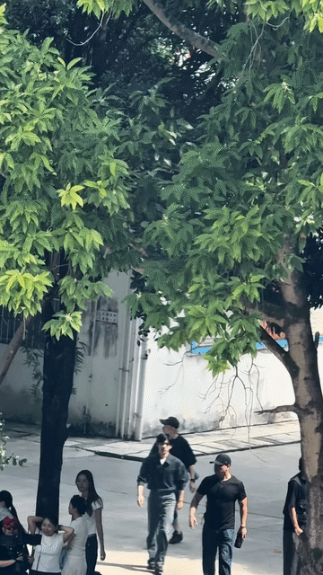 看着心心念念的易烊千玺从自己身前走过是什么样的心情呢？白T小姐姐这反应也太真实了