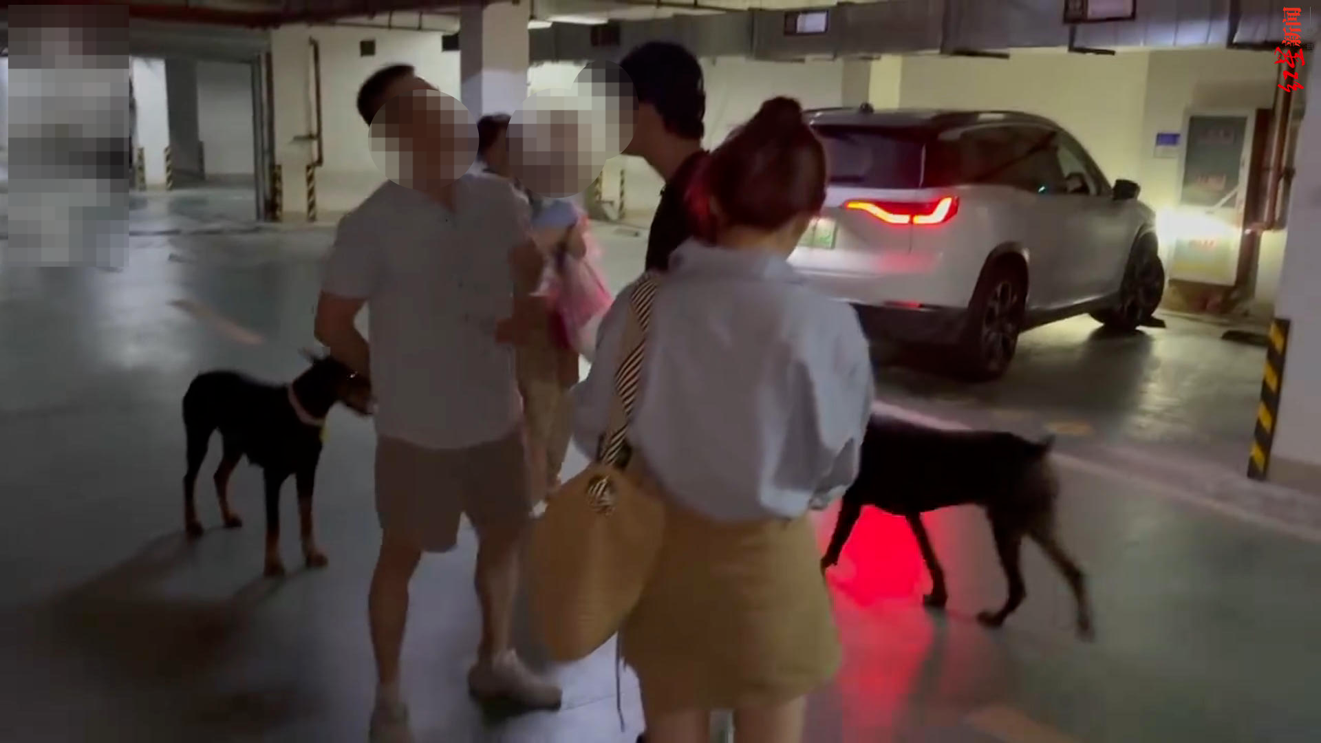 两杜宾犬没拴绳引口角: 路人称要打死狗, 狗主反呛“咬你了吗”