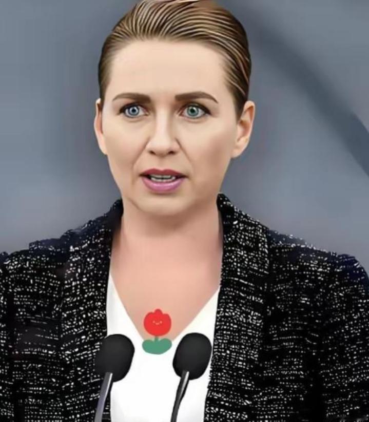 加拿大恐怕得感谢丹麦这位女首相！她直接交出格陵兰岛的永久驻军权限，致使加拿大遭到