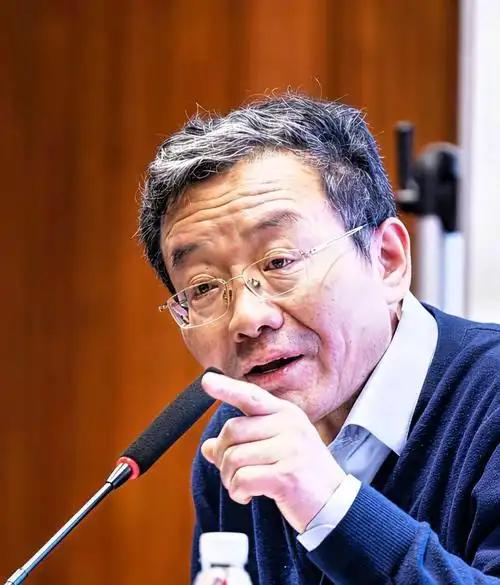 复旦大学教授王德峰再次语出惊人！他曾直言：“我们再次出现了如孙中山当年说的‘一盘