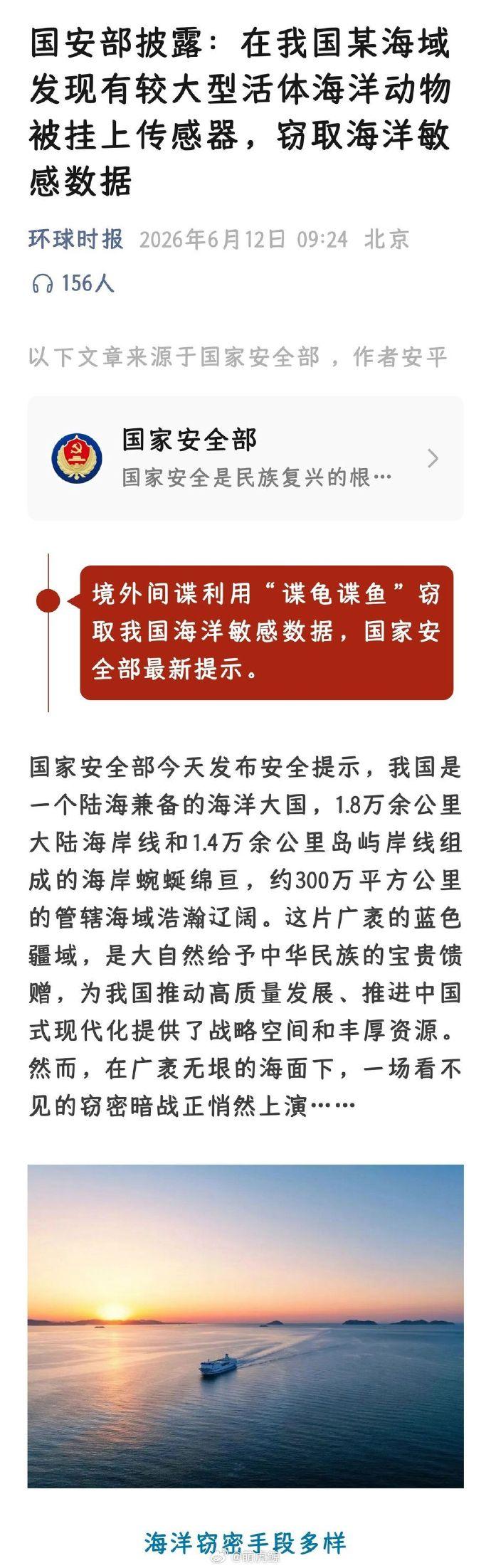 不是早就说了吗？海龟当中有间谍。这回实锤了吧？[滑稽笑]不仅是海龟，还有海豚，还