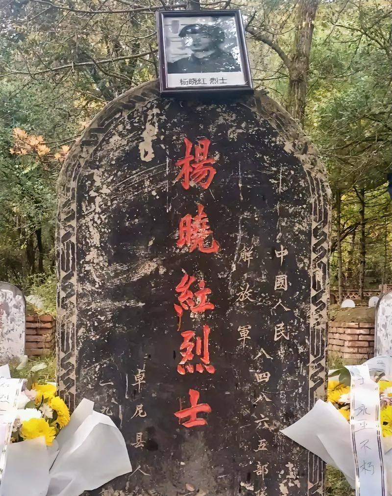 老山战士血战13次偷袭，19岁为护战友牺牲，网上最近看到一个叫杨晓红的战士，是个