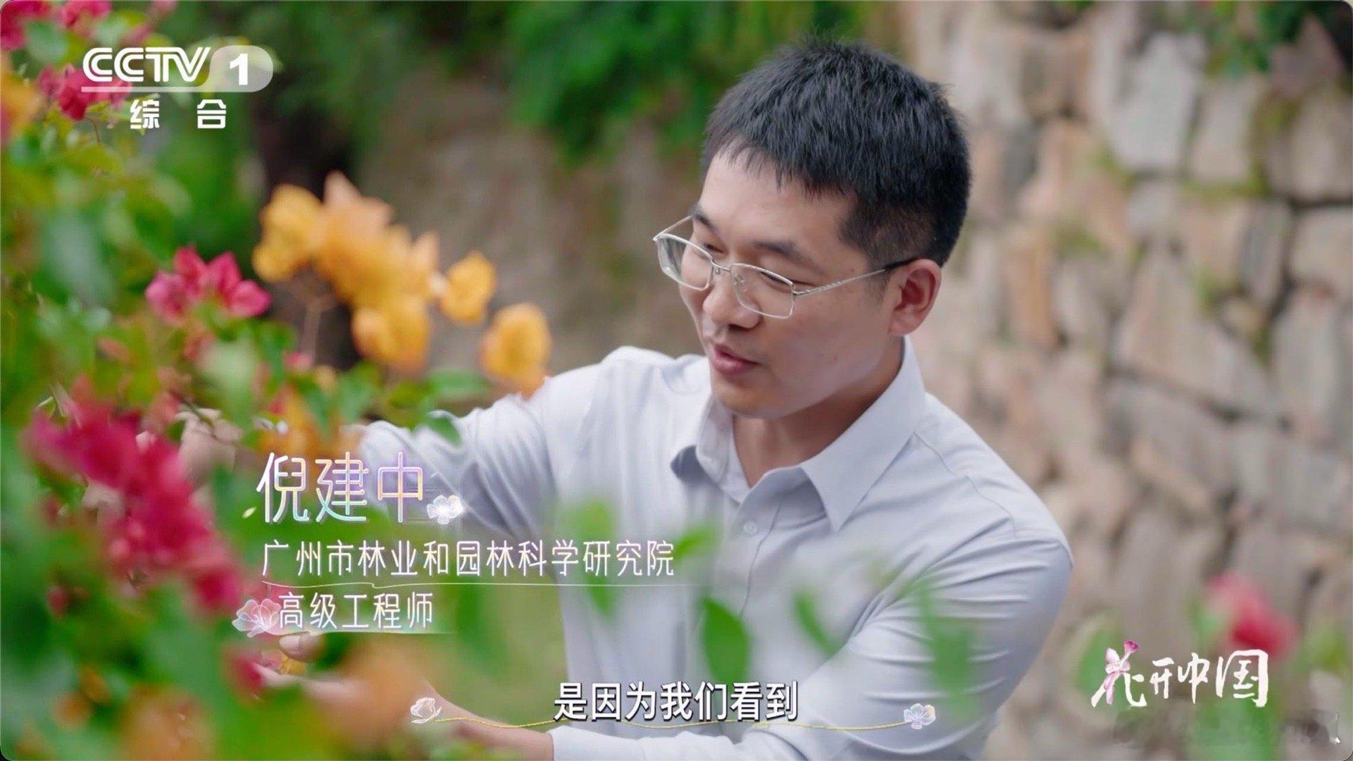 以为是花其实是五颜六色的叶子从刺里开出的花科普时间到！原来三角梅那鲜艳的“花瓣”