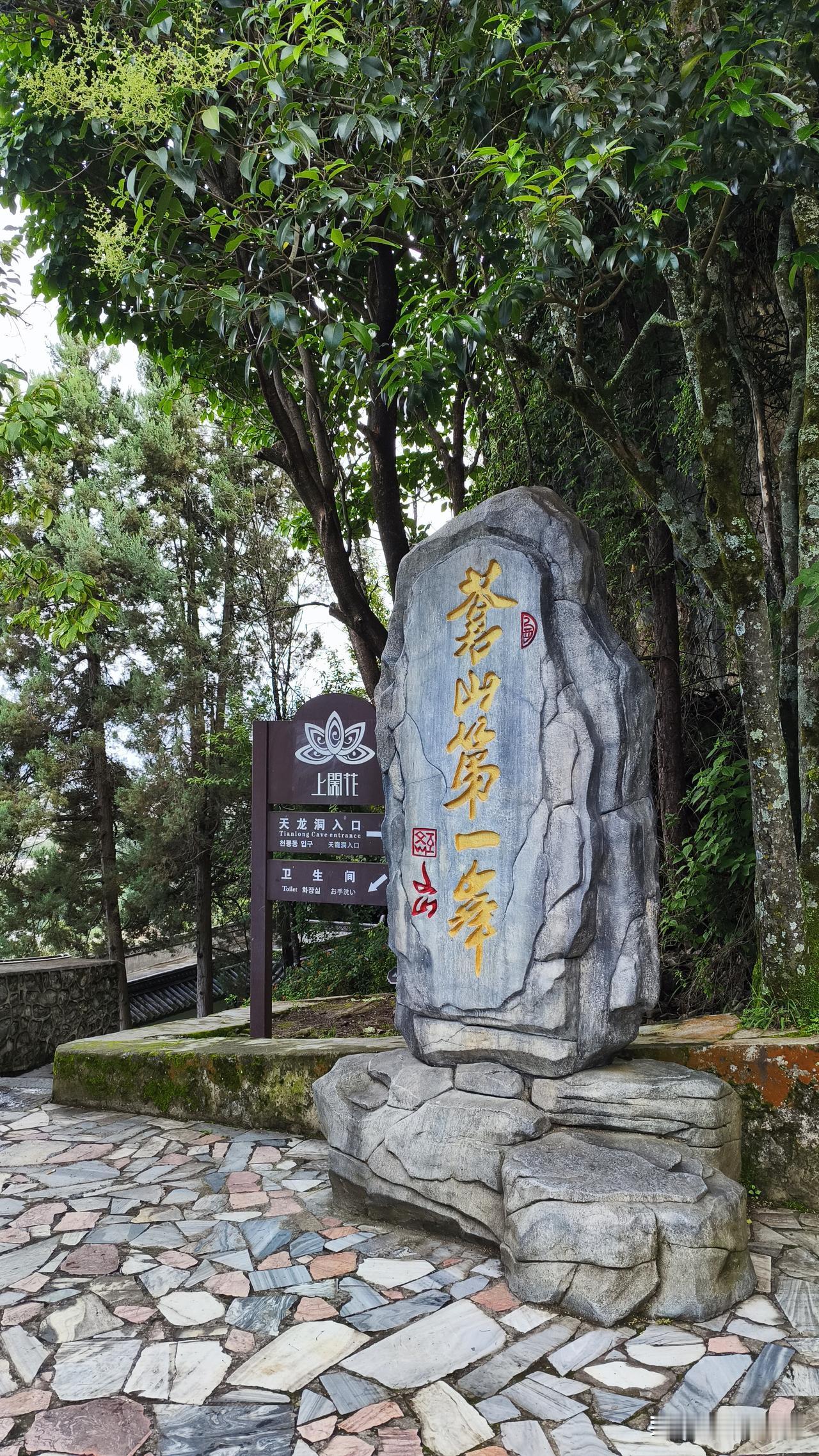 全国高温，大理22℃的夏天成了避暑首选，可现在彻底挤爆，古城、环海路全天堵车。不