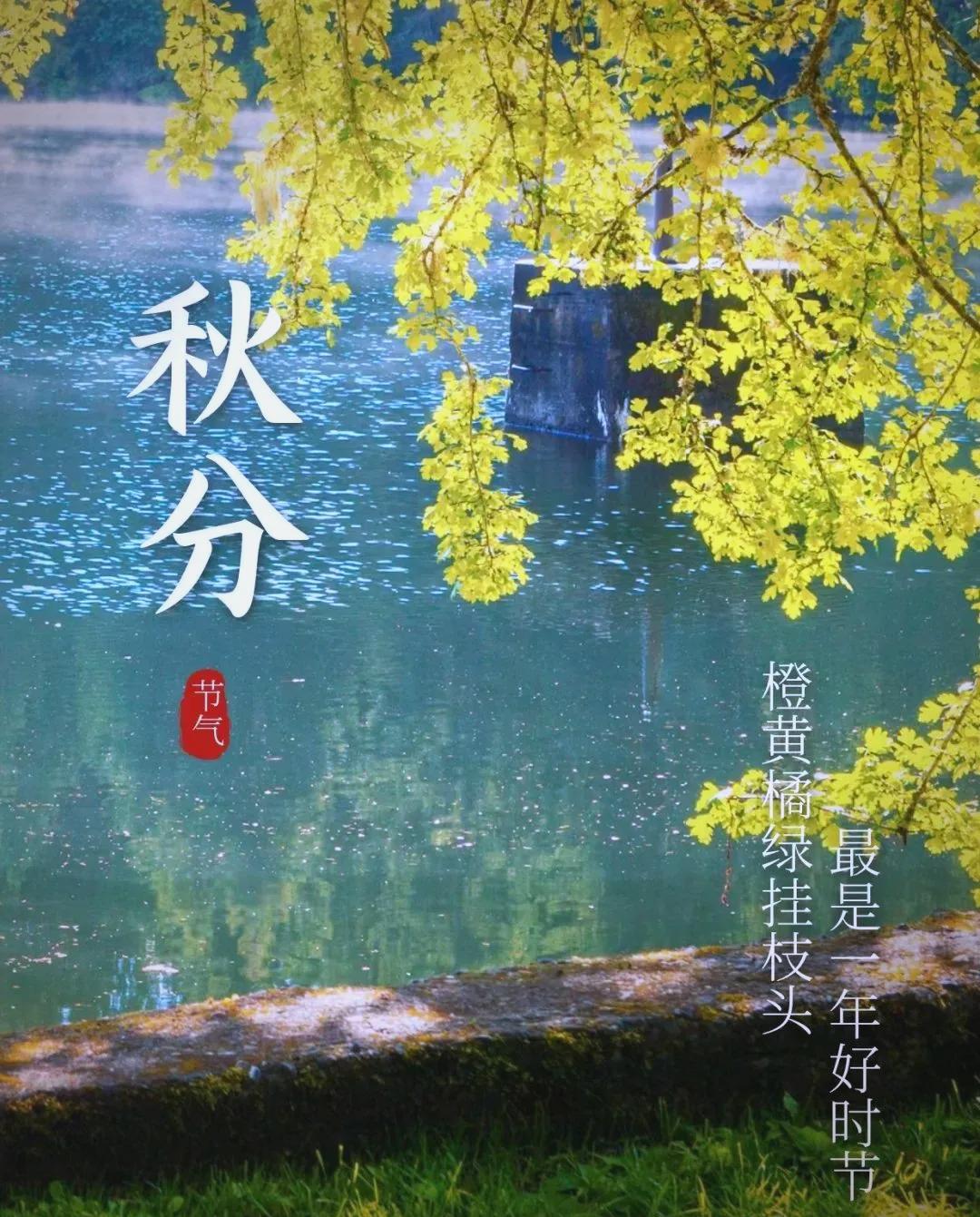 秋分日子是单还是双，就能定冬天冷暖？你肯定也听过这句老话：“秋分逢单，冬天