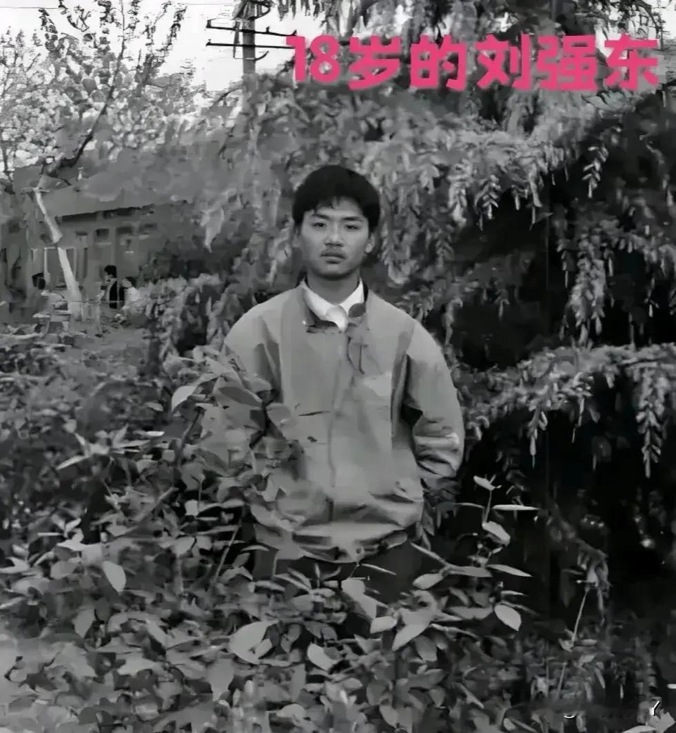 这是刘强东十八岁时和章泽天十八岁时的对比照，当看完后，真的令人惊叹不已！