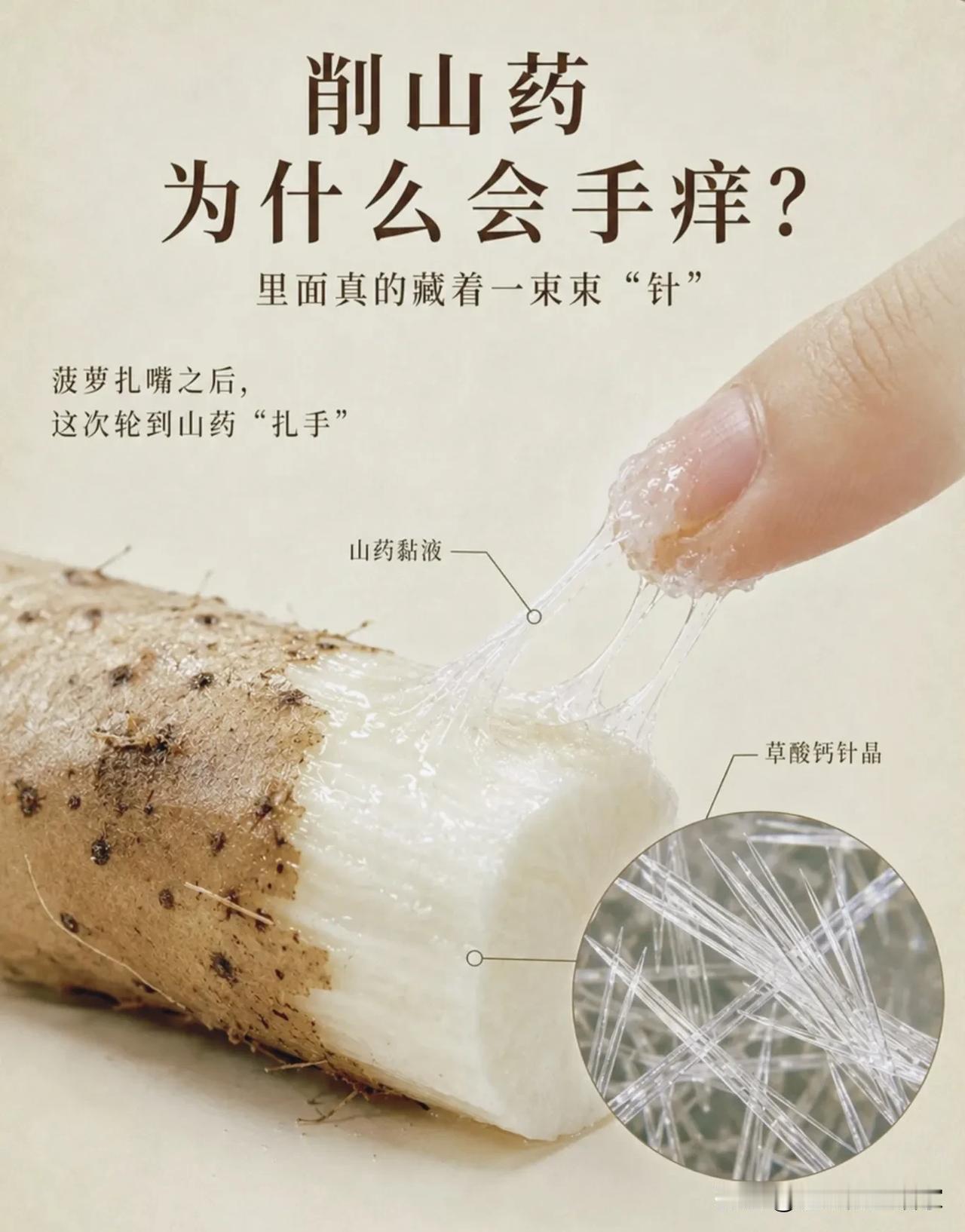 削山药手痒，不是过敏！山药里藏着肉眼看不见的“玻璃细针”！很多人处理生山药