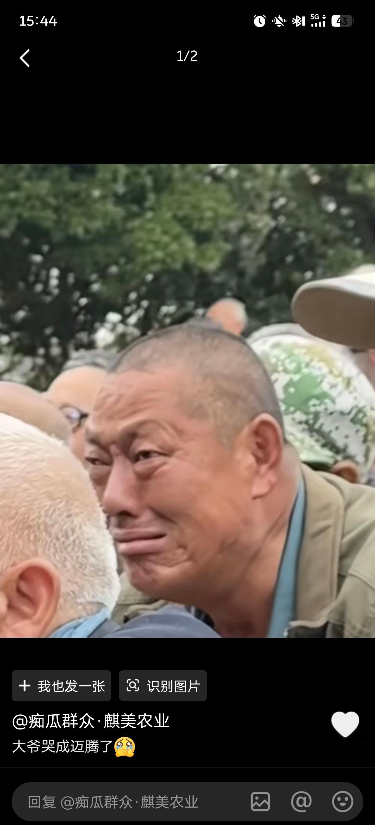 当时只道是寻常。