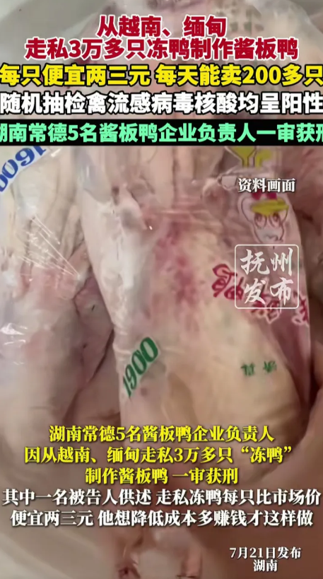 良心被狗吃了？湖南常德，一企业从越南和缅甸走私3万多只冻鸭，一只冻鸭成本只需要