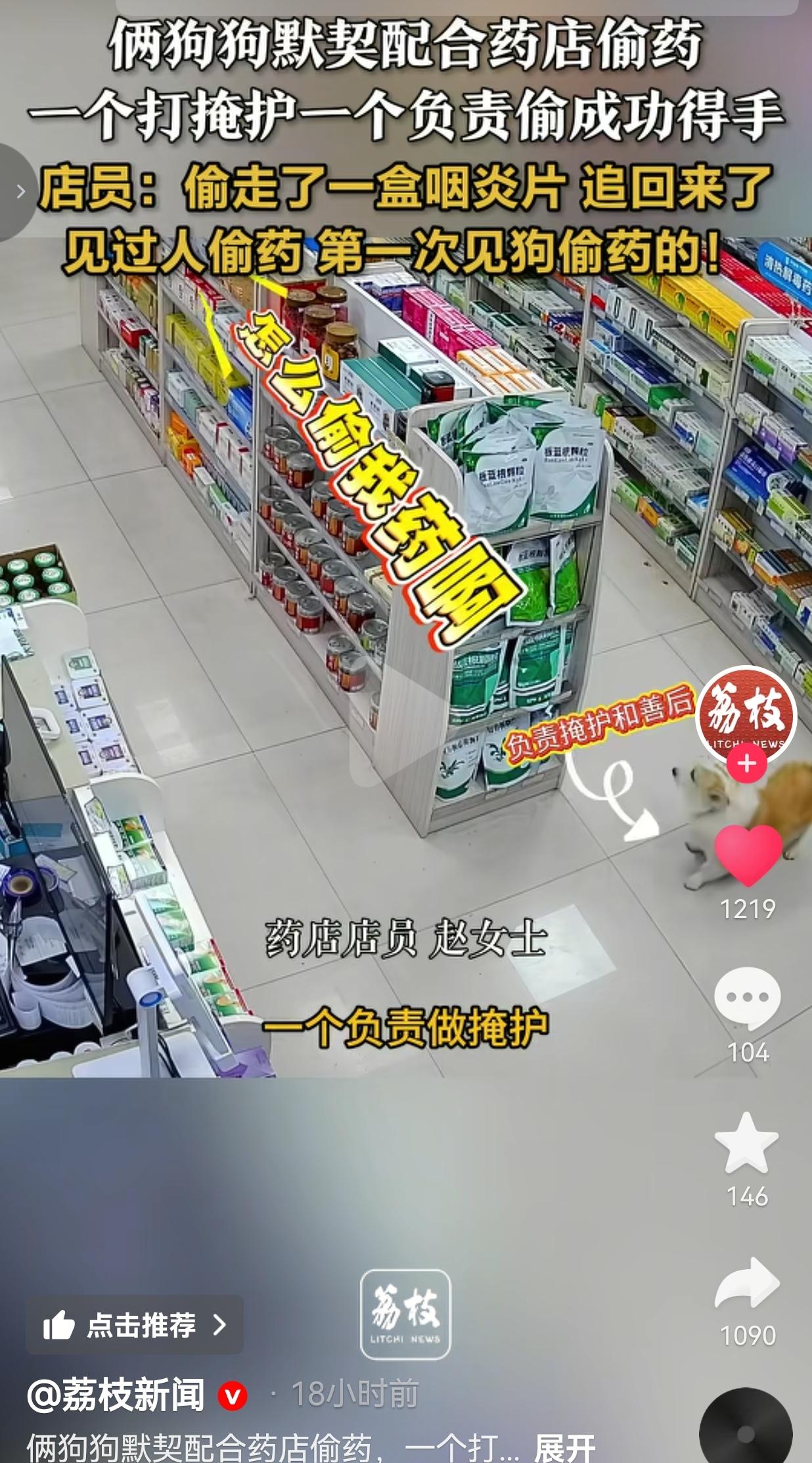 活久见！长沙俩狗子组队药店偷咽炎片，分工明确还会打掩护！见过人偷药，你见过