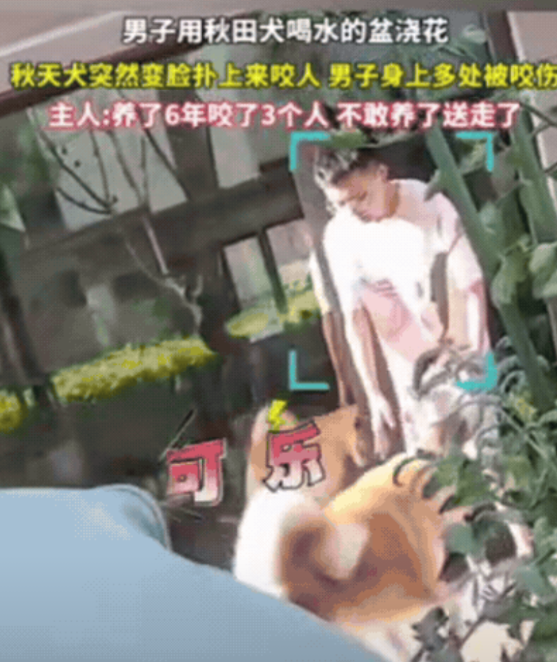 “养不熟的白眼狼！”宁夏，男子用狗喝水的盆浇花，不料，狗狗竟然扑上来，疯狂撕咬狗