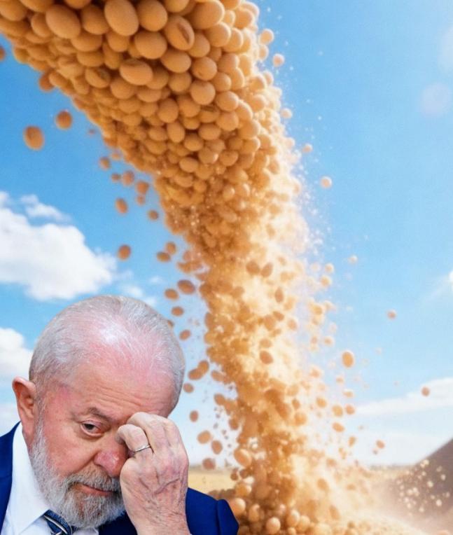 中国之前跟巴西定了800万吨大豆订单，但今年巴西大豆从580美元涨到650美元，