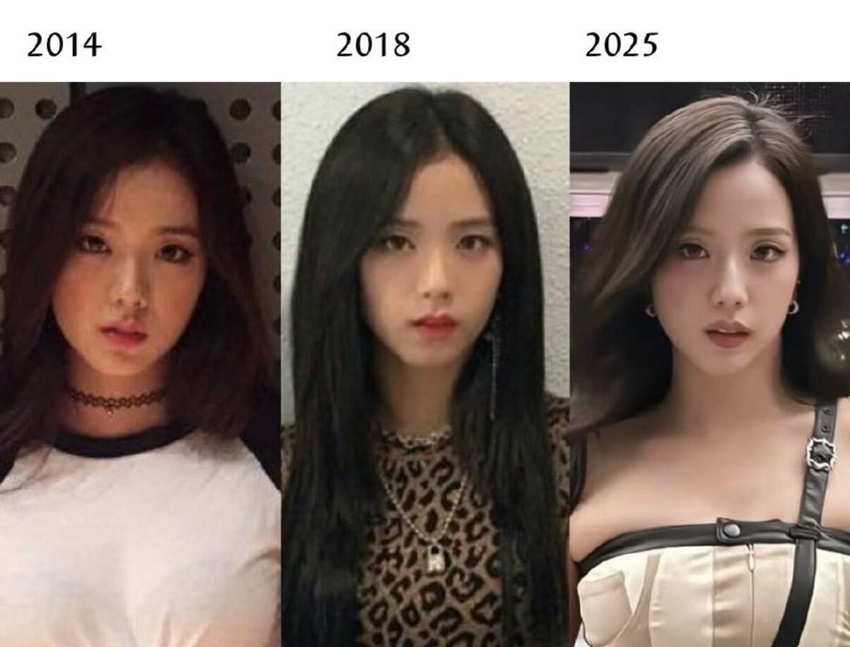 金智秀2014-2025年变化是