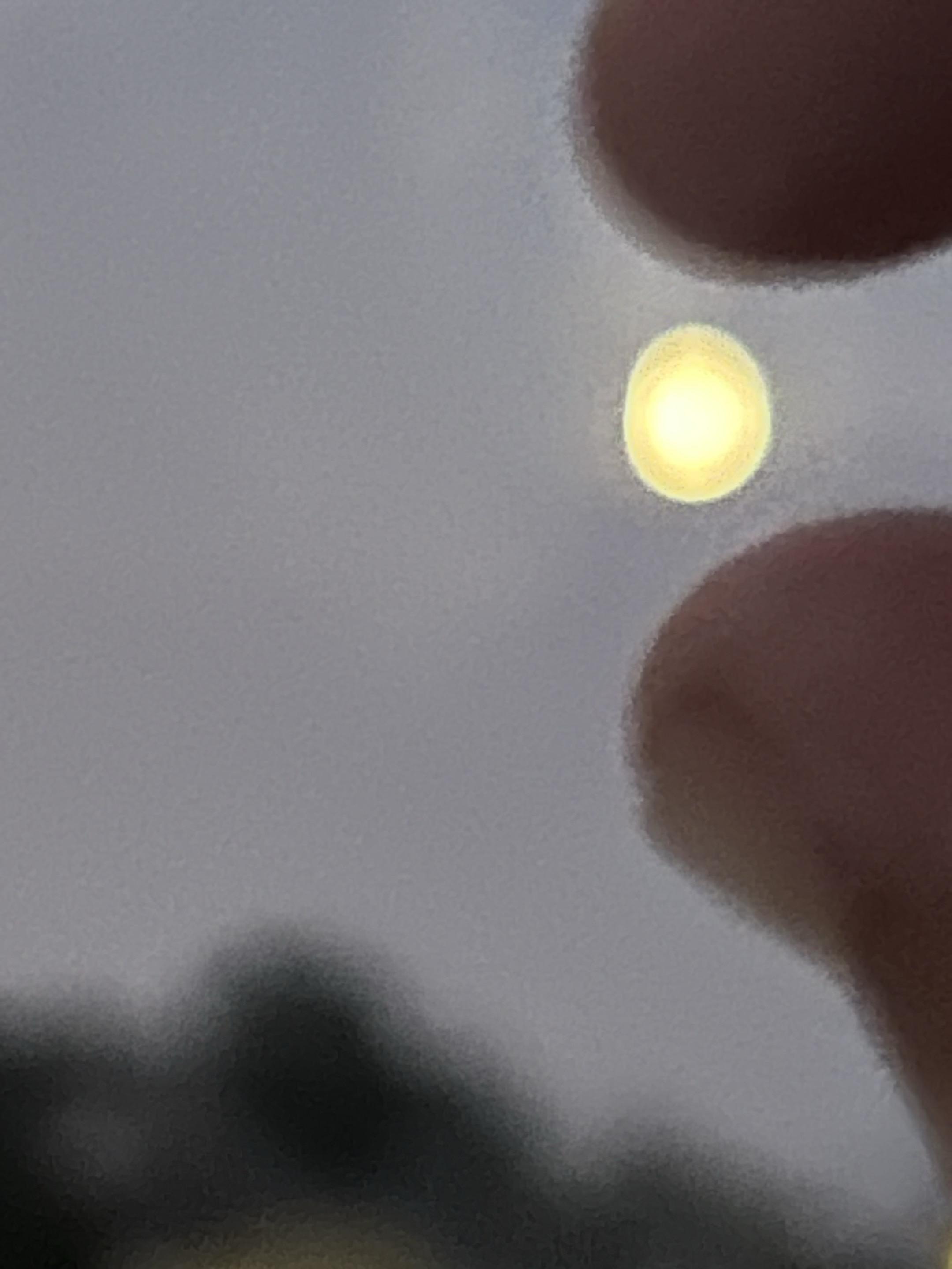 小时不识月，呼作白玉盘。
