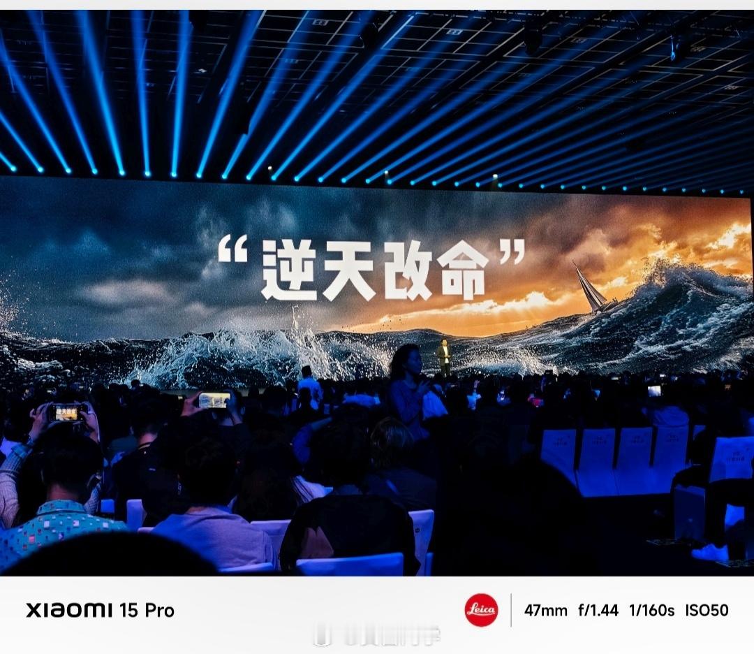 头巾王子也是见上了最近老板是真的忙头巾哥摇摇人，拉拉我米吧