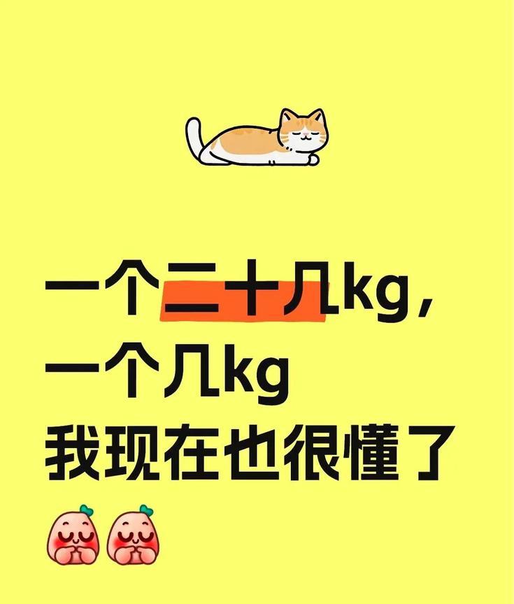 一个二十几公斤，一个几公斤，不得说我现在也很懂了。机场称重台前又排起长队，那个
