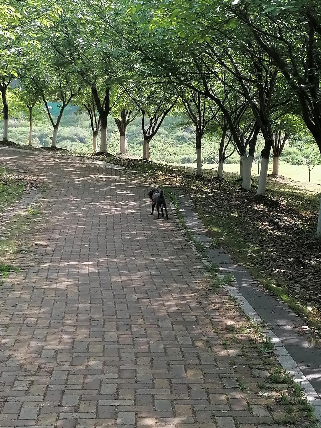 那时我刚被提拔为单位的中层副职，科室来了个大学生。这小伙子精神抖擞，还特别有礼貌