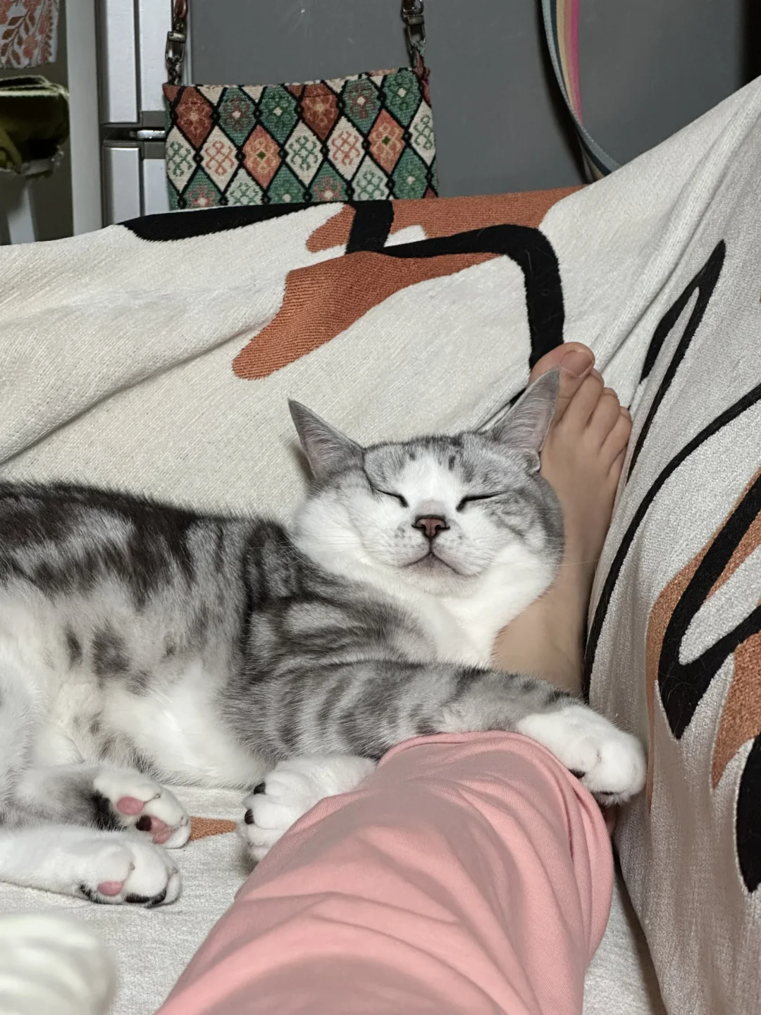 怪癖小猫🐈
