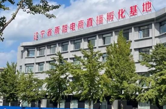 “东北雨姐”宣布出售电商大楼，有趣的是，她当初花1800万买的大楼，现在要卖……