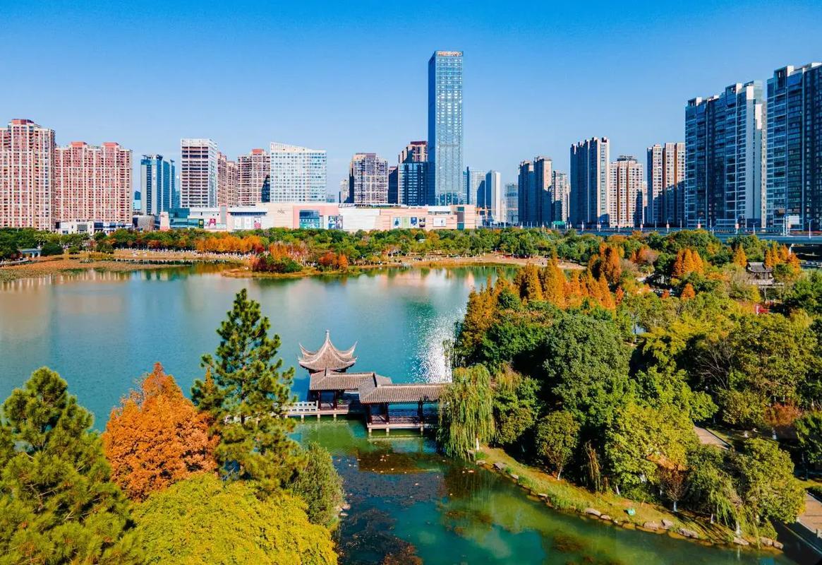 赣州市1月财政收入接近50亿！2026年1月份赣州全市一般公共预算收入49.