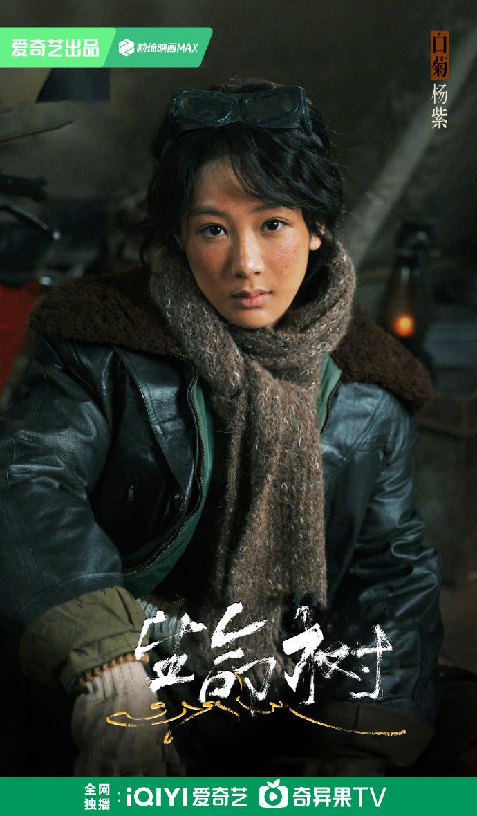 精彩！太精彩了！一个县长将副县长埋在荒野17年！太敢演了。央视热播电视剧《生命树