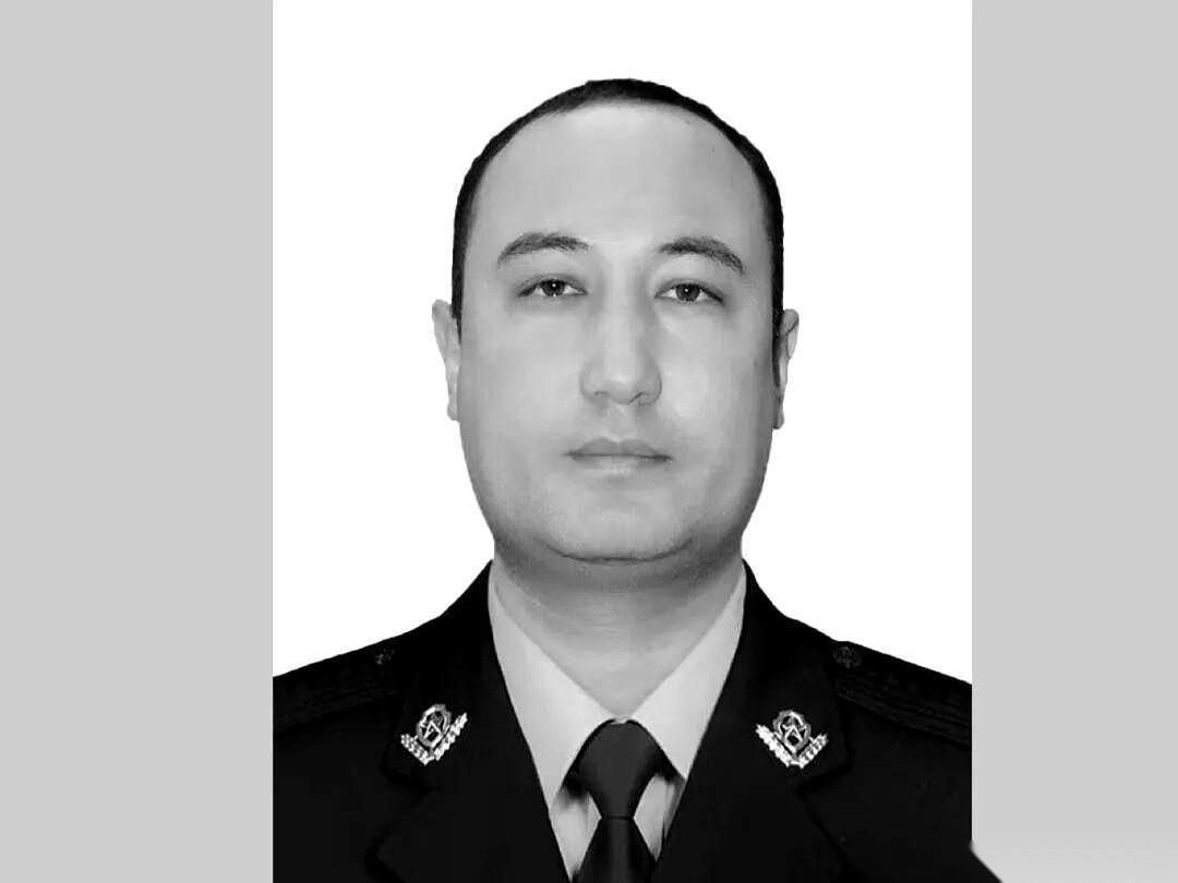 当我看到那句话的时候，真的，后背的汗毛一下就竖起来了。他们说，十几个小时后，在