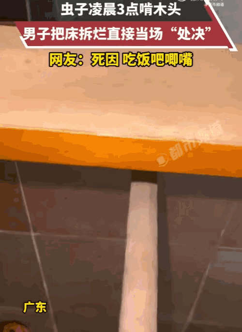 士可忍孰不可忍！广东，一男子凌晨三点正在睡觉，突然听到一阵“嘎吱嘎吱”的异响。男