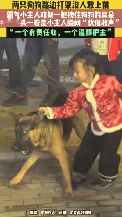 “笑不活了！”湖南，两只狗狗在路上突然打起来，围观的大人都不敢上前，没想到人群中