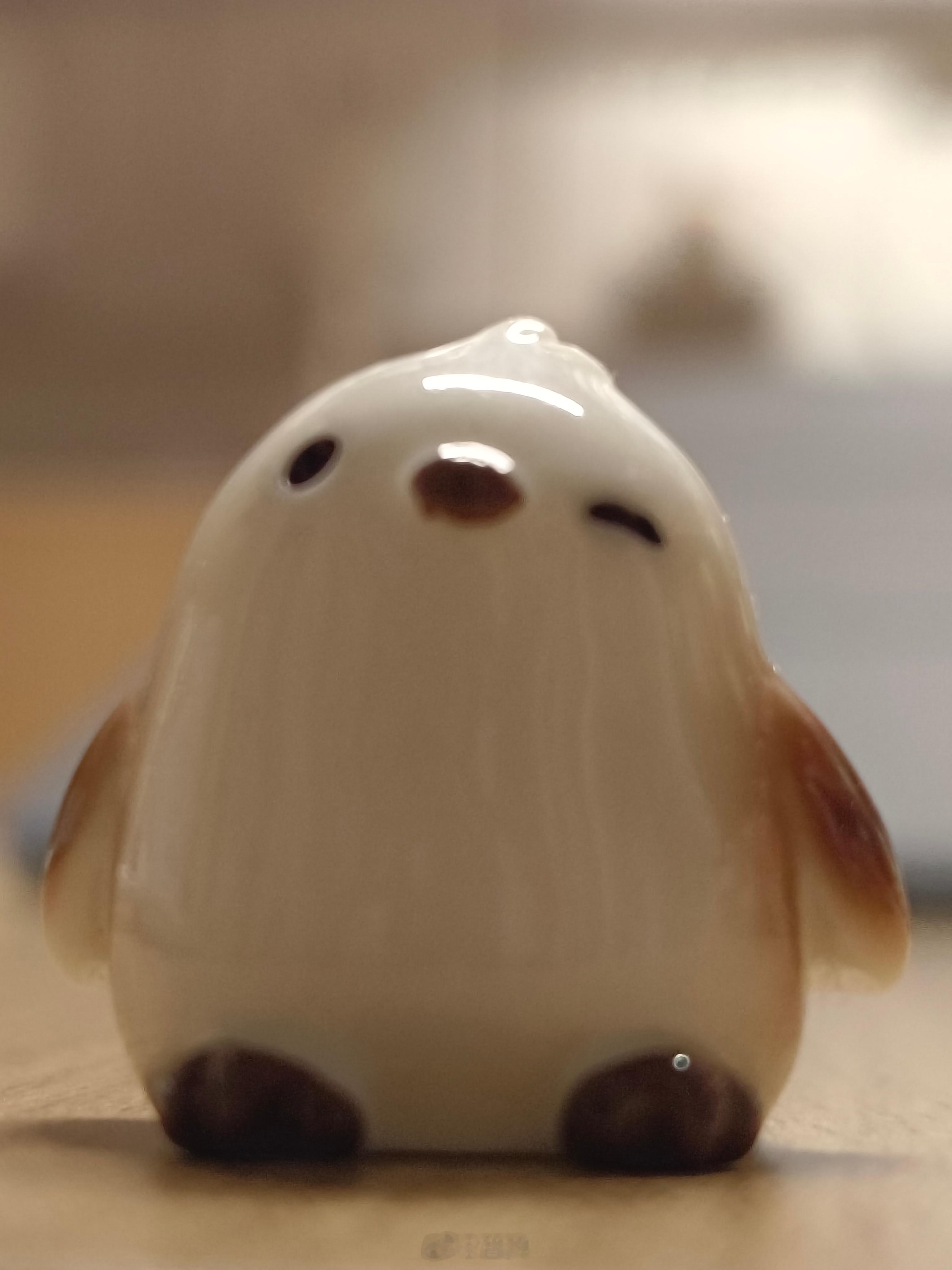 买了个小鸟小摆件寻思布展的时候用，打开一看咋这么点大！