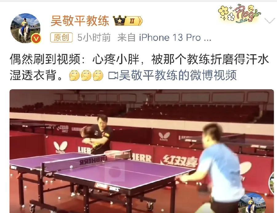 果不其然，吴敬平教练今天又以爱小胖之名出现了[笑着哭]以前有一段时