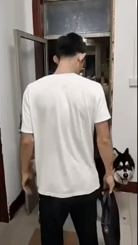 天下武功唯快不破[doge]「搞笑」​​​