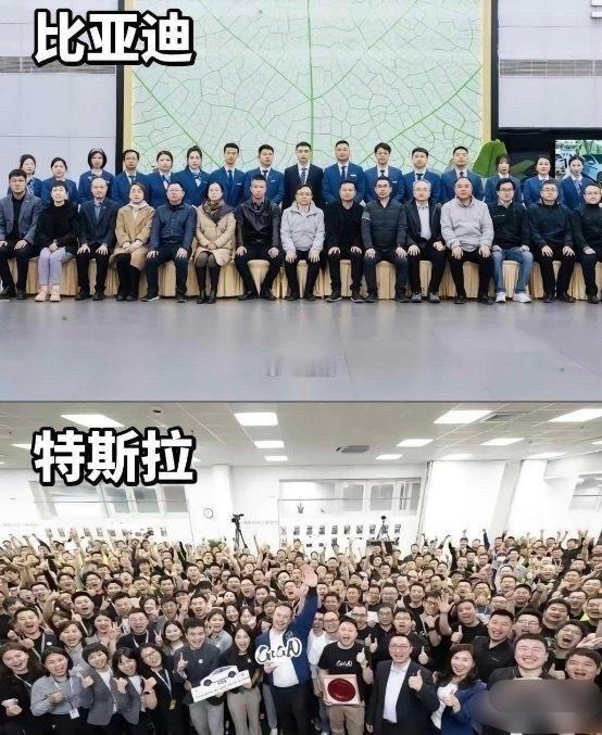 中美文化差异