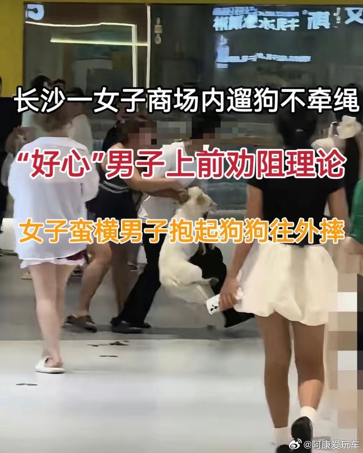 就算商场允许带狗进入，拴绳也是硬性前提吧？商场人流量本来就大，老人小孩都多，不牵