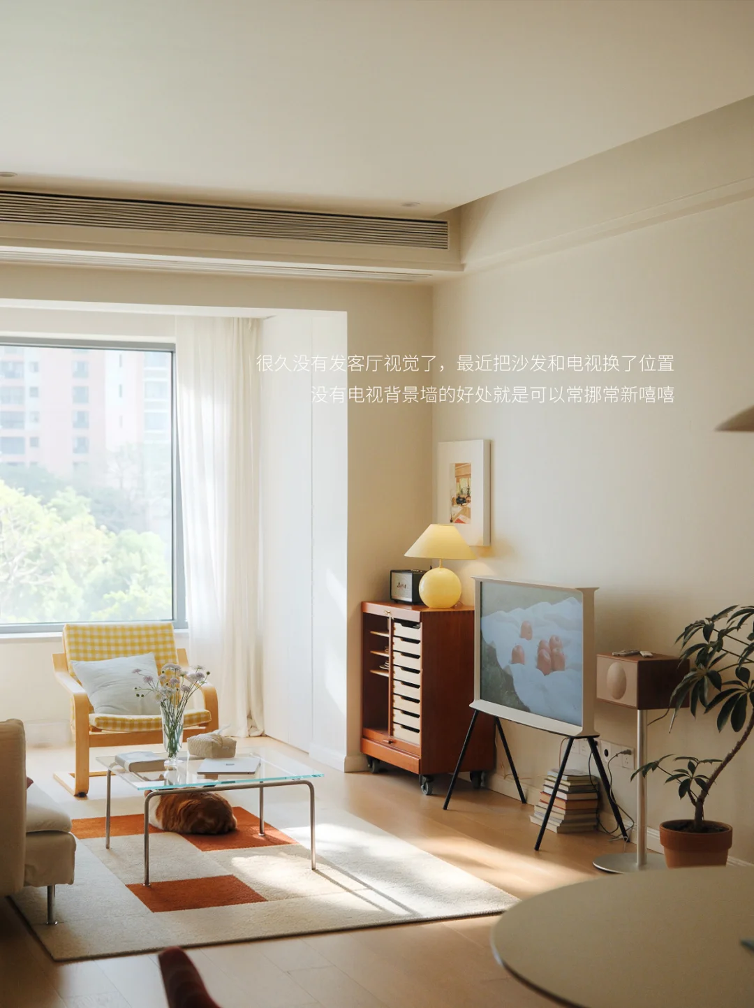 和小猫宅家的日子里🏡🐈