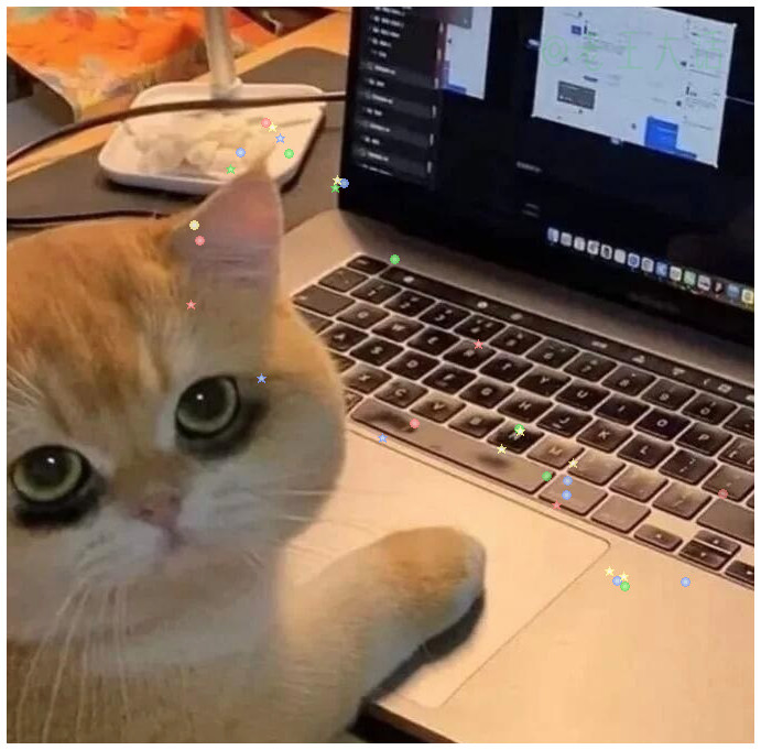 打工猫的一天：从崩溃到麻木