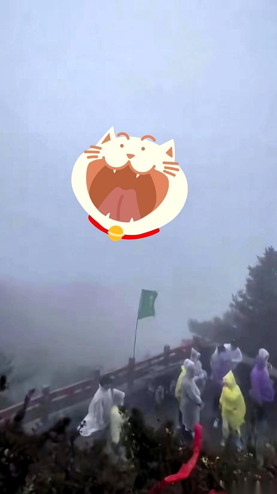 泰山那个卖雨衣的哥们儿，一晚上挣了五万，然后就被网暴了。说他黑心，趁火打劫，吃