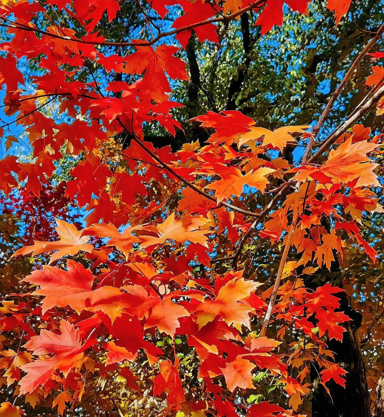 发现一个扎心的真相，谈钱未必伤感情，但绝对见人品！你瞅瞅那些男人啊，