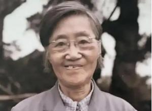 1960年，北大才女王承书狠心抛弃丈夫和孩子后不辞而别，从此音信全无。17年后，